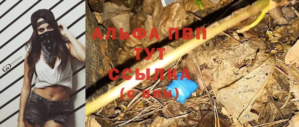 дживик Бородино