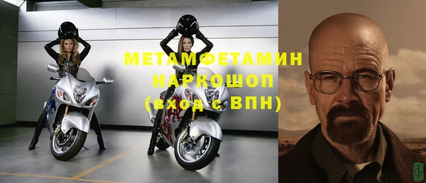 дживик Бородино