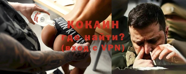 дживик Бородино