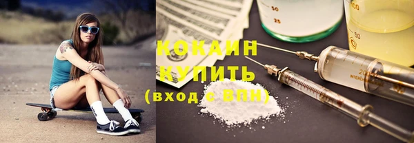 дживик Бородино