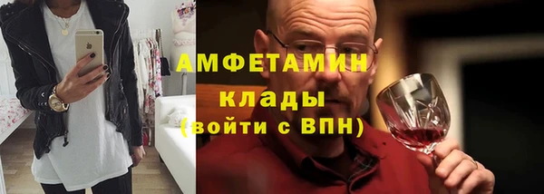 дживик Бородино