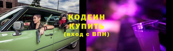 дживик Бородино
