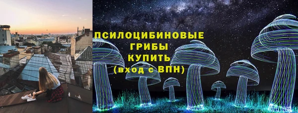 гашик Бронницы