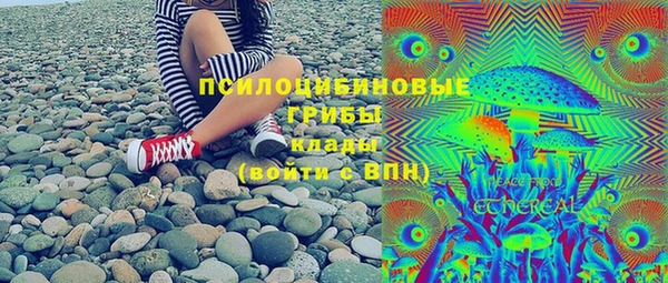 гашик Бронницы