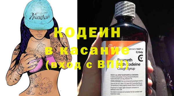 дживик Бородино