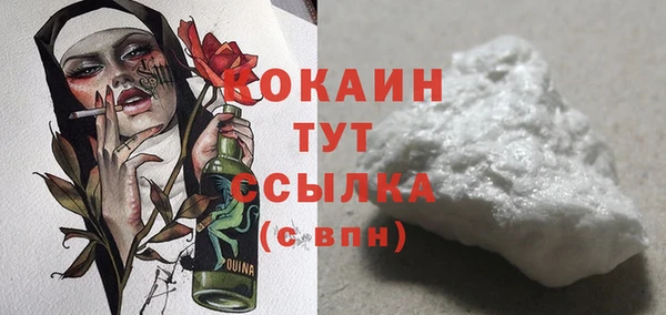 дживик Бородино
