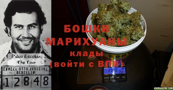 дживик Бородино