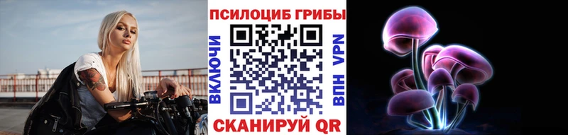hydra как войти  Раменское  Псилоцибиновые грибы Cubensis 