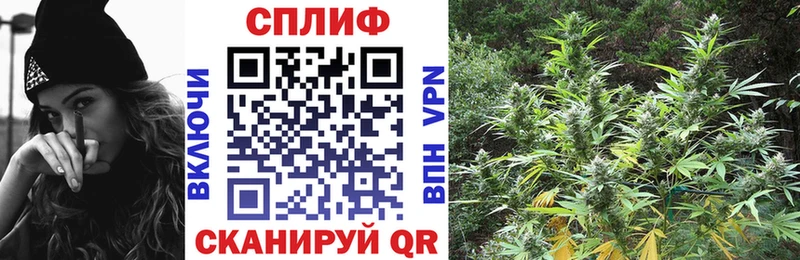 Бошки Шишки White Widow  цены наркотик  Раменское 